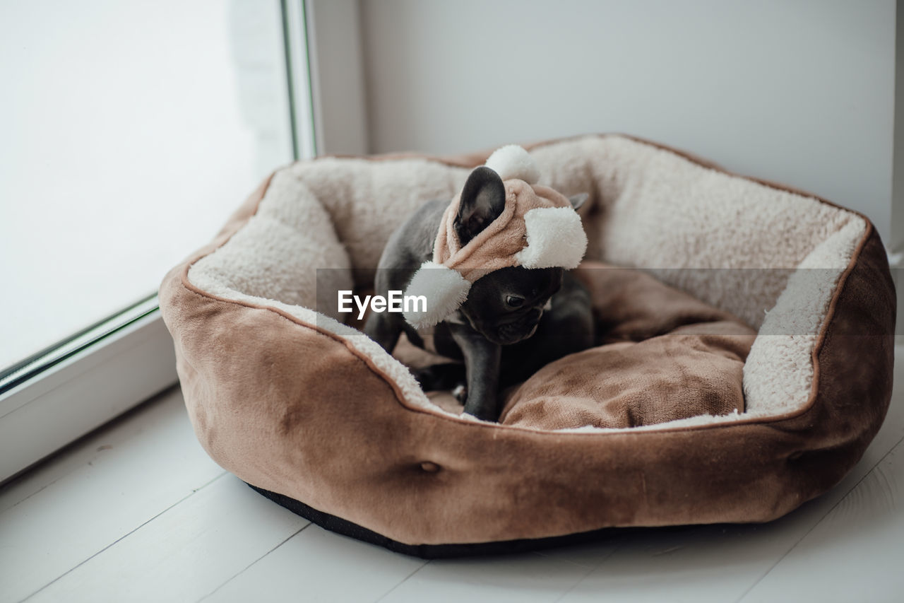 high angle view of man sitting on bed at home