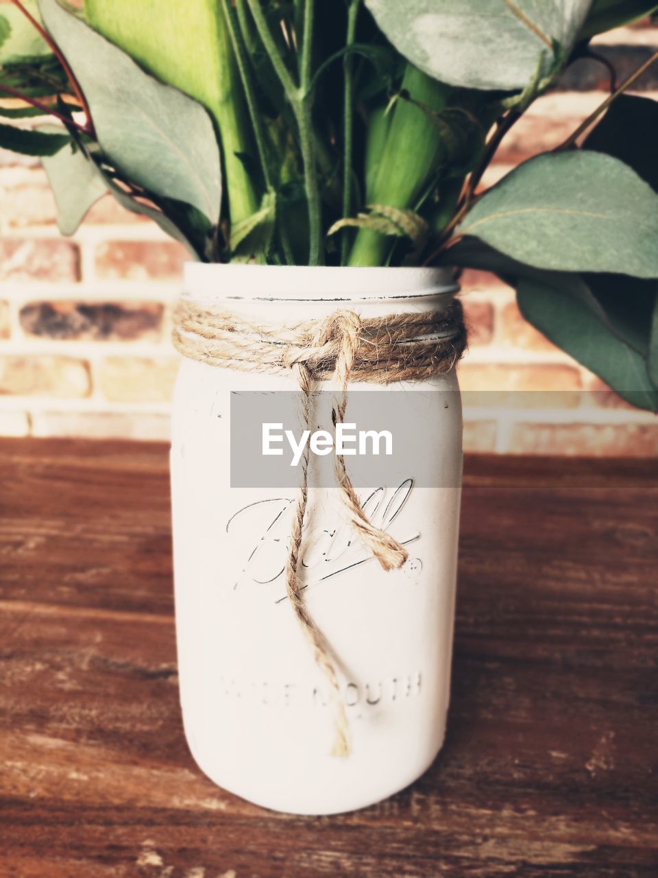 CLOSE-UP OF POTTED PLANT IN VASE