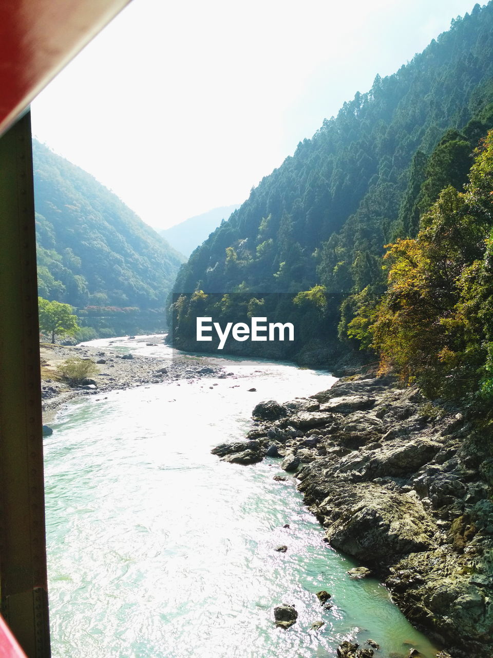 SCENIC VIEW OF RIVER AMIDST TREES AGAINST CLEAR SKY