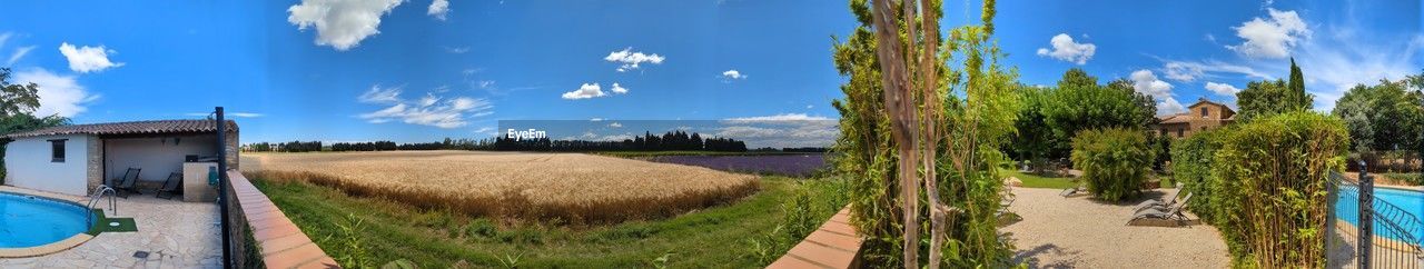 sky, panoramic, plant, cloud, nature, landscape, agriculture, land, blue, rural scene, crop, field, environment, tree, cereal plant, farm, no people, scenics - nature, outdoors, day, architecture, growth, summer, food and drink, water, rural area, grass, food, tranquility, beauty in nature