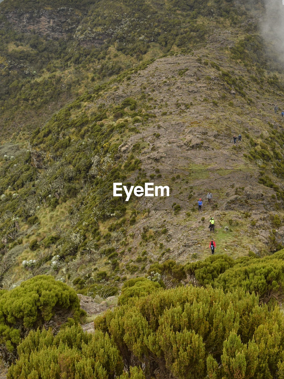 High angle view of hikers against mountain, aberdare ranges, kenya 