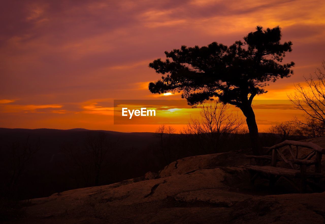 Silhouette tree against sky during sunset