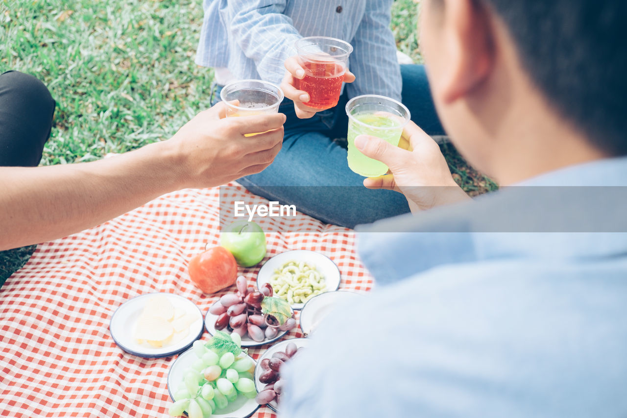 High angle view of people toasting drinks at park