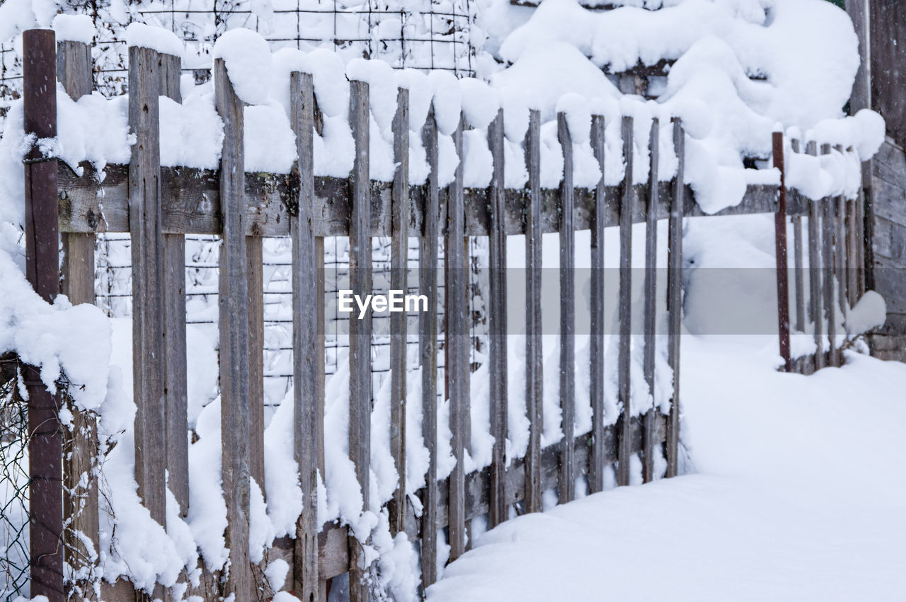 SNOW HANGING FROM TREE