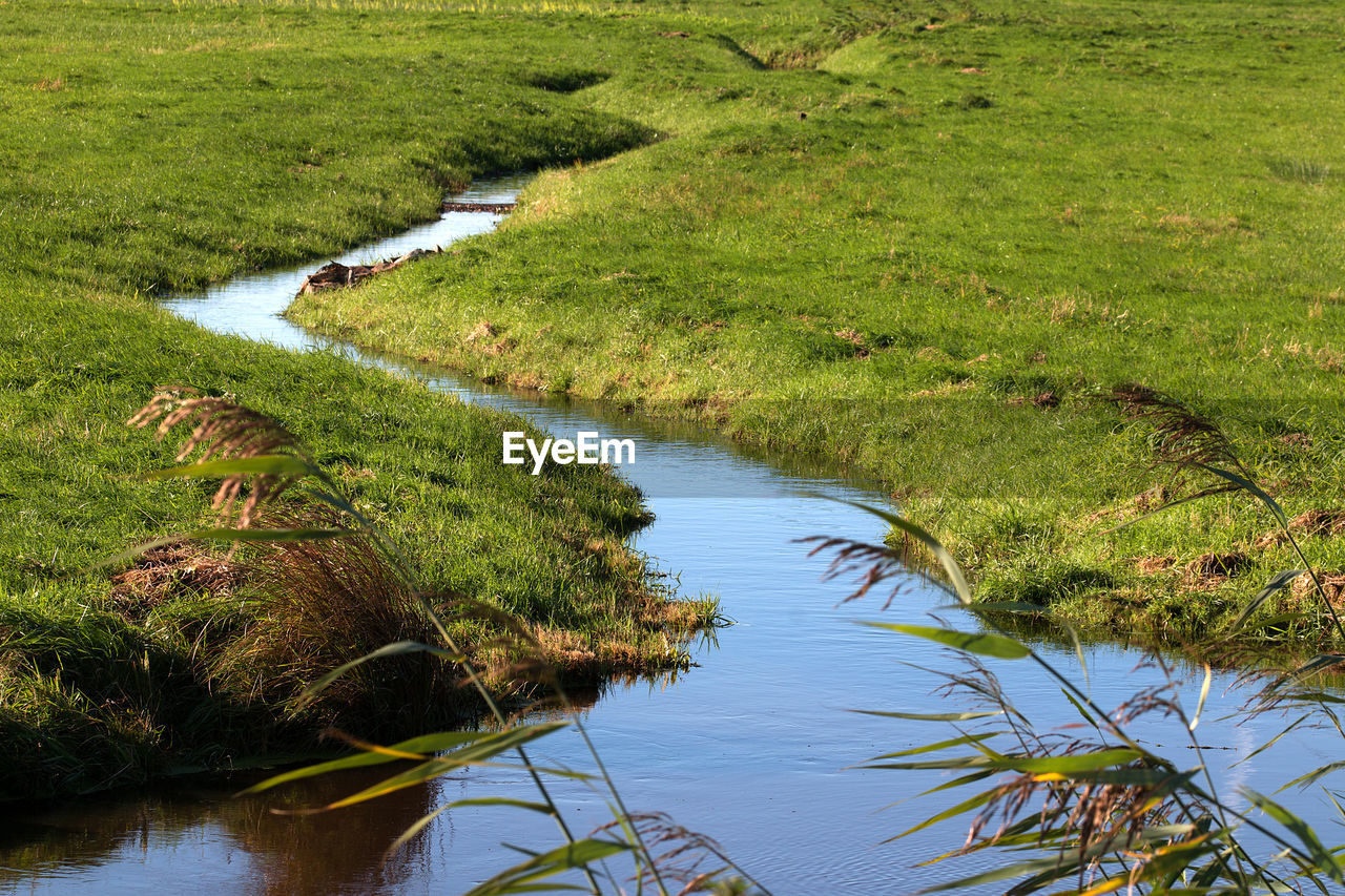 SCENIC VIEW OF RIVER AMIDST GREEN GRASS