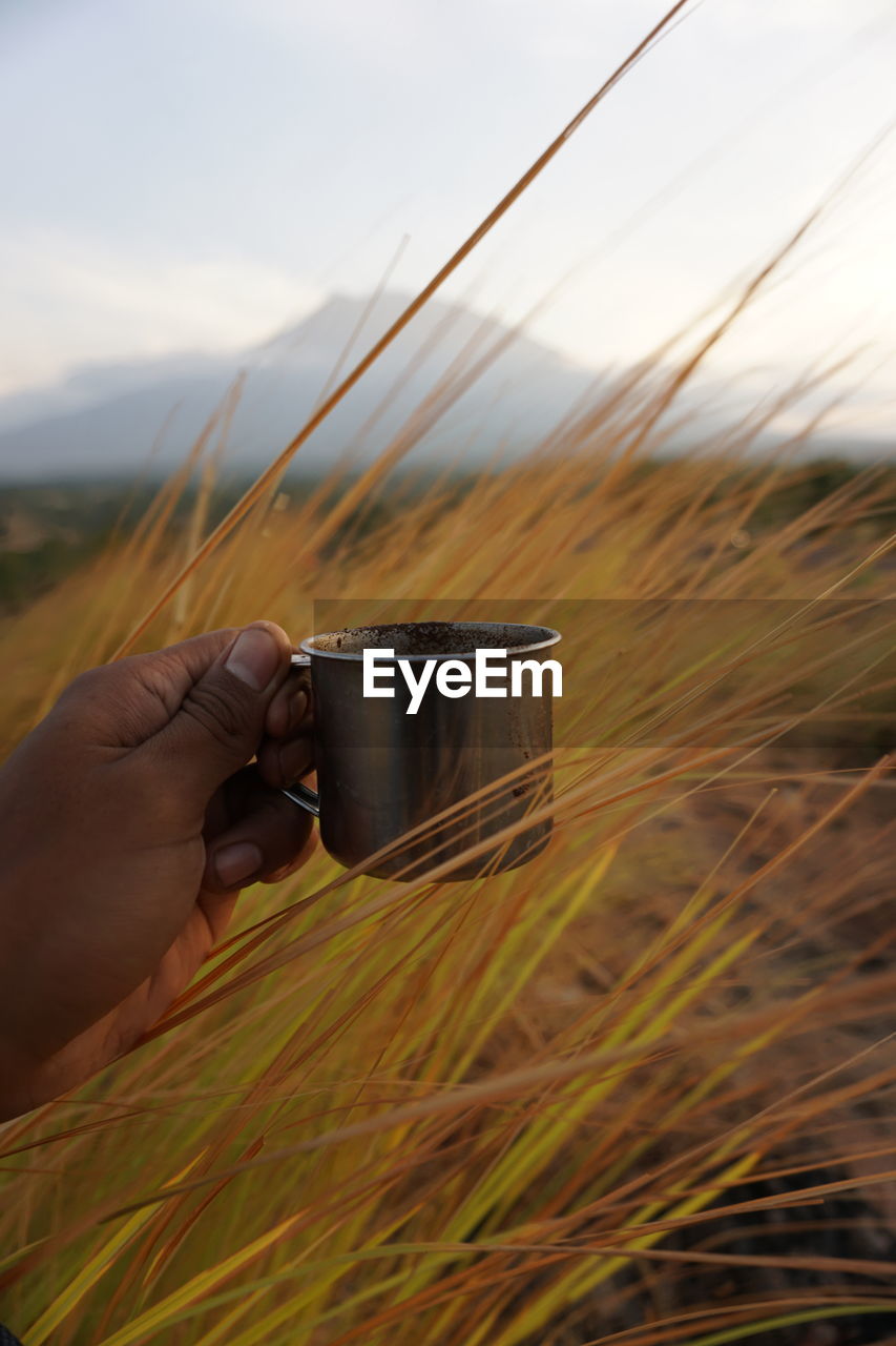 Cropped image of hand holding coffee cup against sky