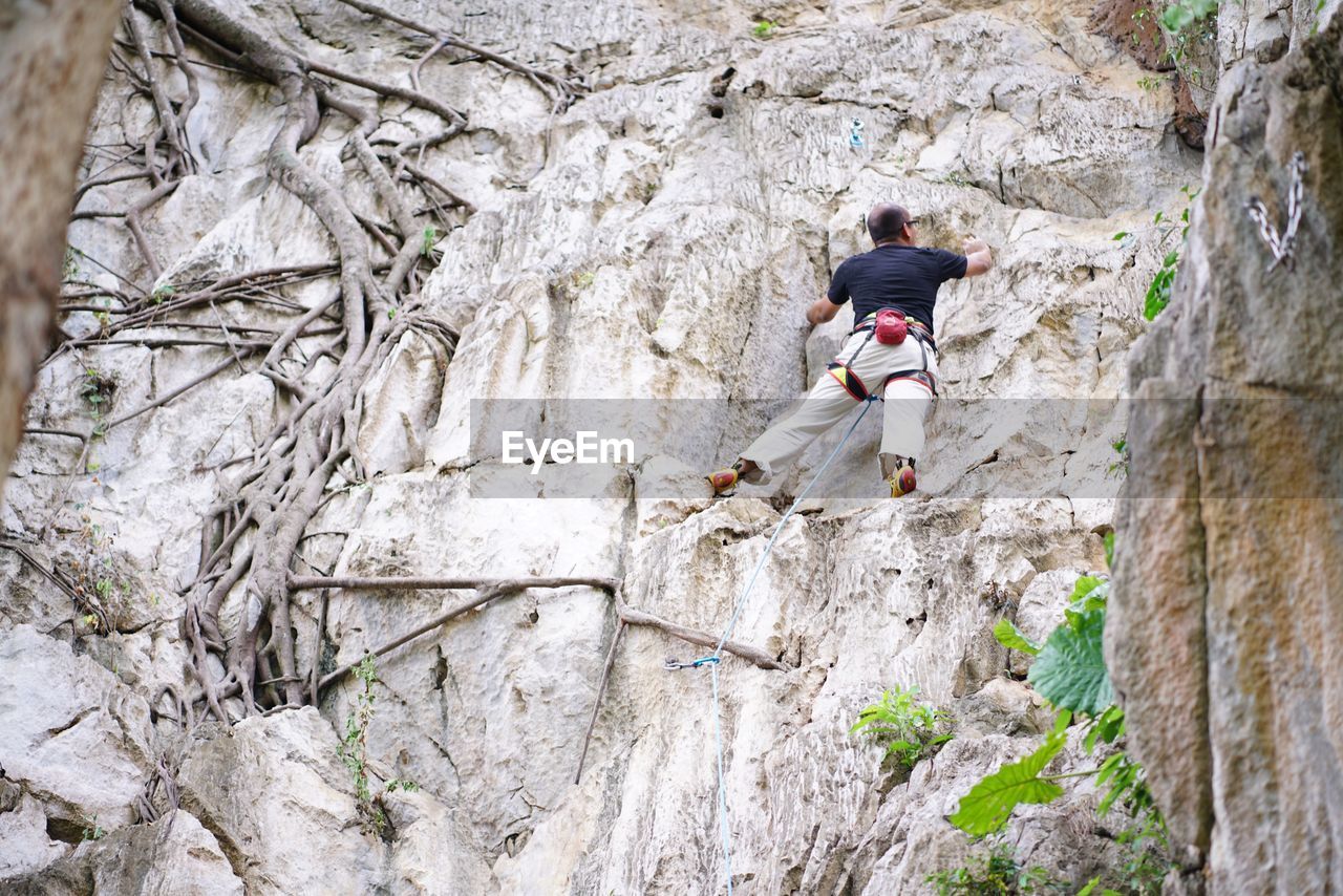 Rear view of man climbing on rock