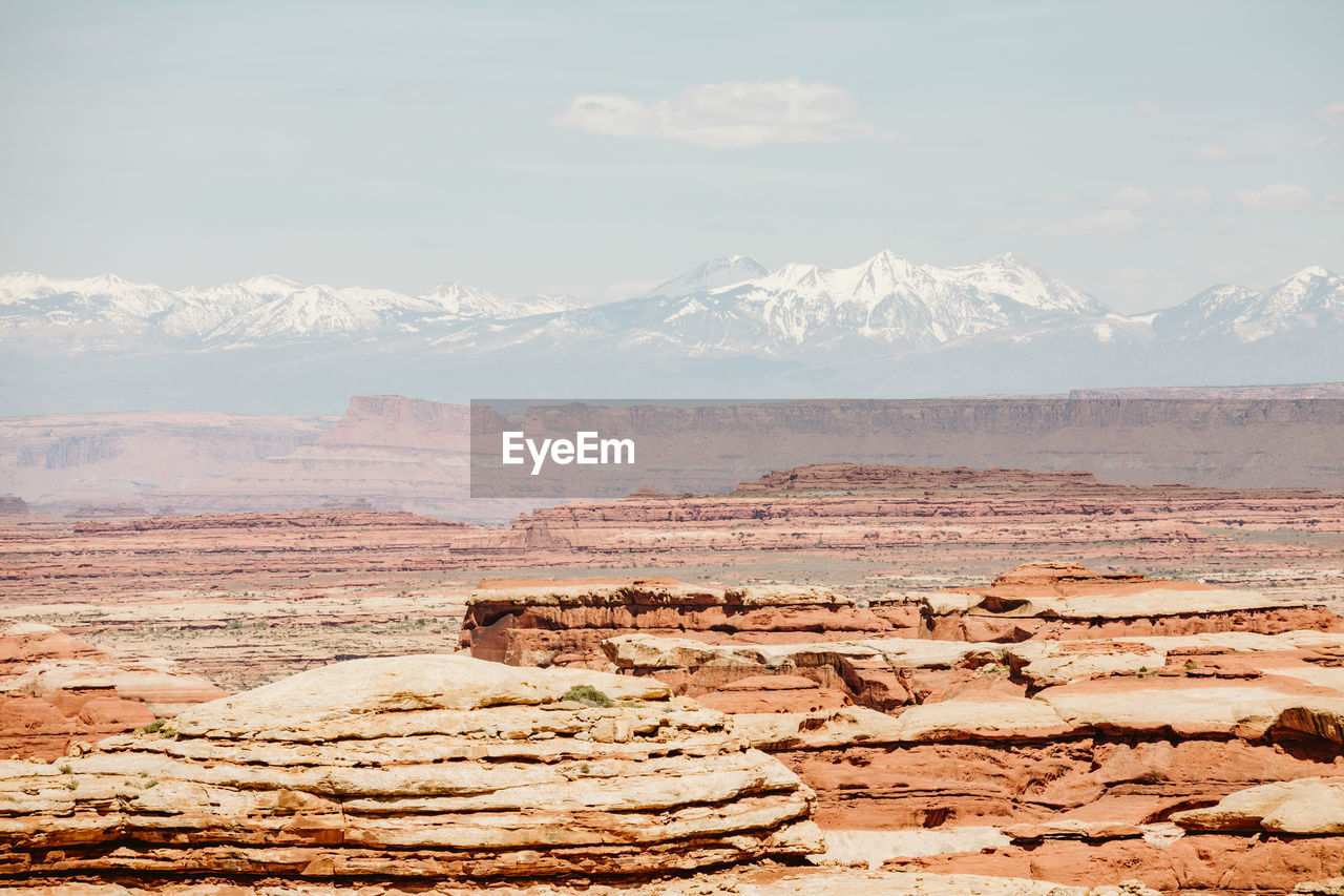 Muted red tones on a sunny day overlooking the maze canyonlands utah