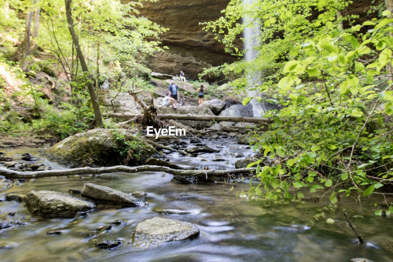 VIEW OF STREAM FLOWING THROUGH ROCKS IN FOREST