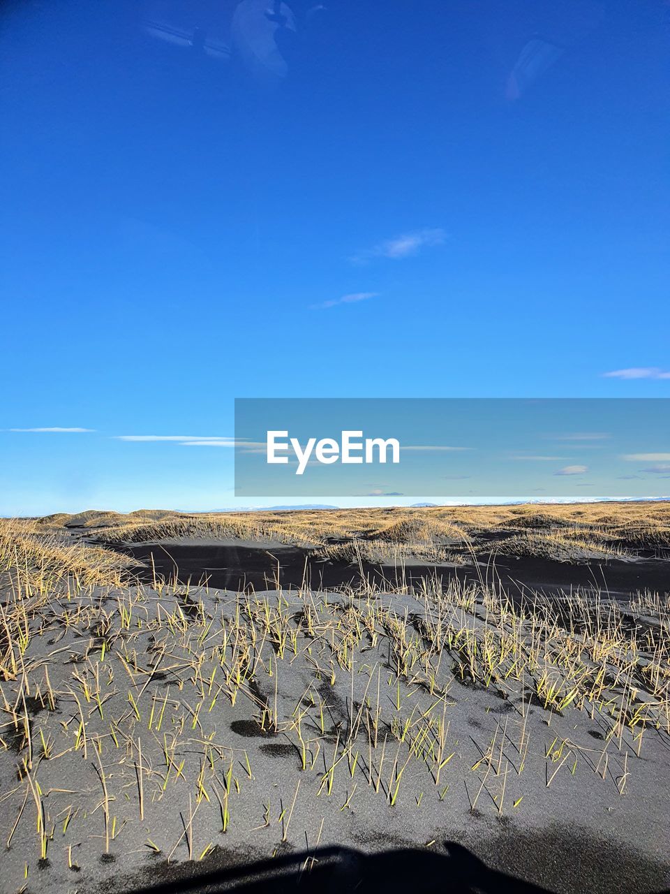 SCENIC VIEW OF FARM AGAINST SKY