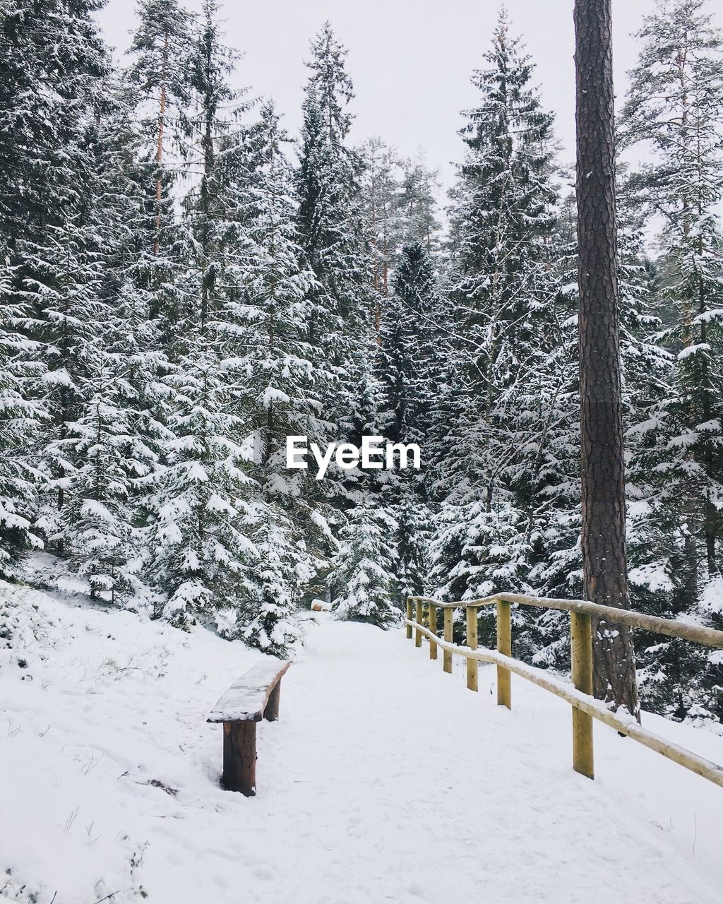 VIEW OF SNOW COVERED LANDSCAPE