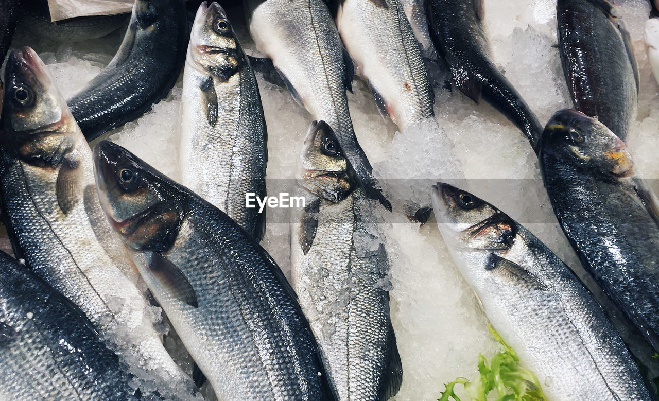 Close-up of fish for sale in market