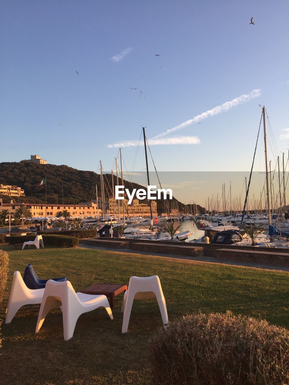 VIEW OF SAILBOATS MOORED ON GRASS BY THE SHORE