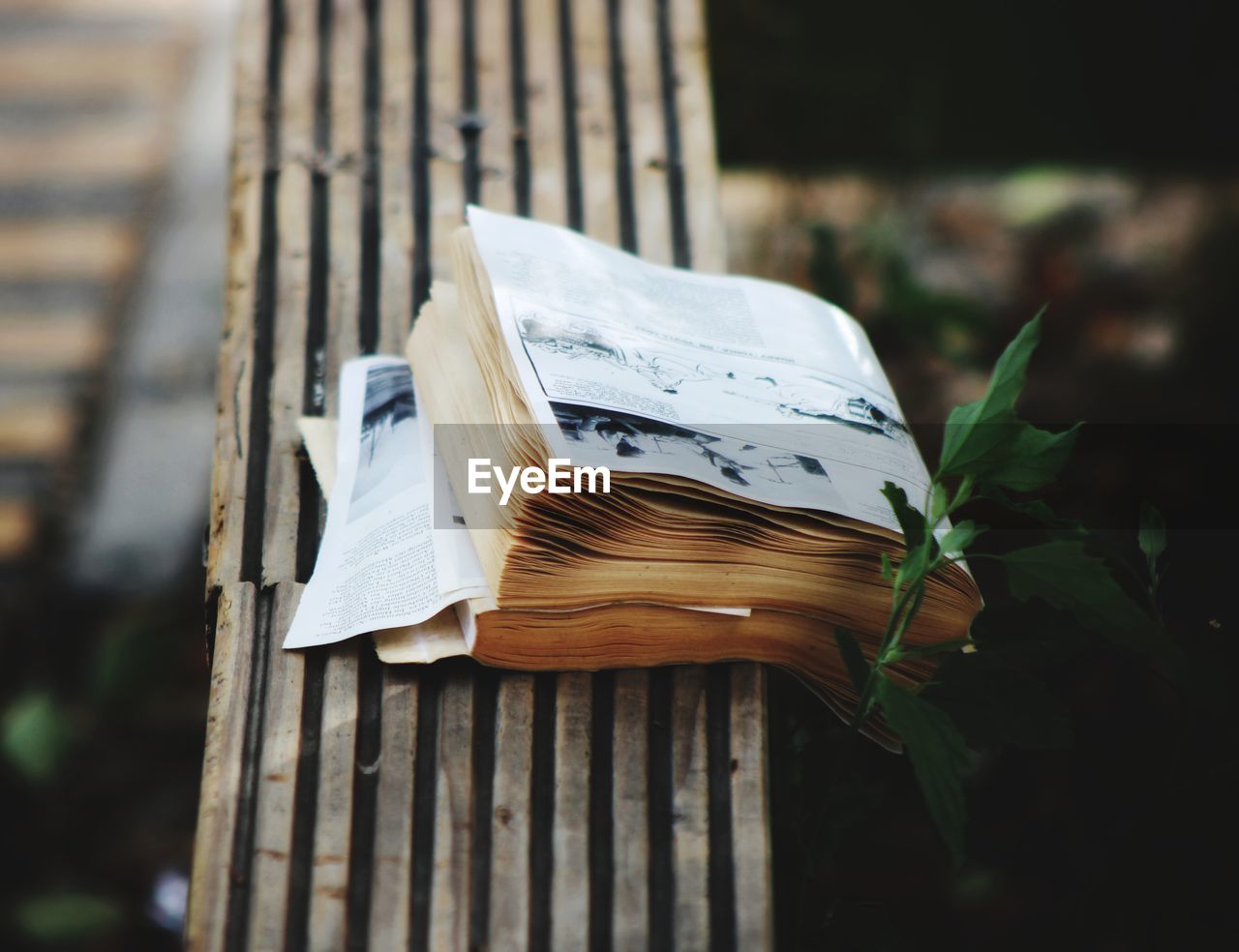 CLOSE-UP OF BOOK ON WOOD