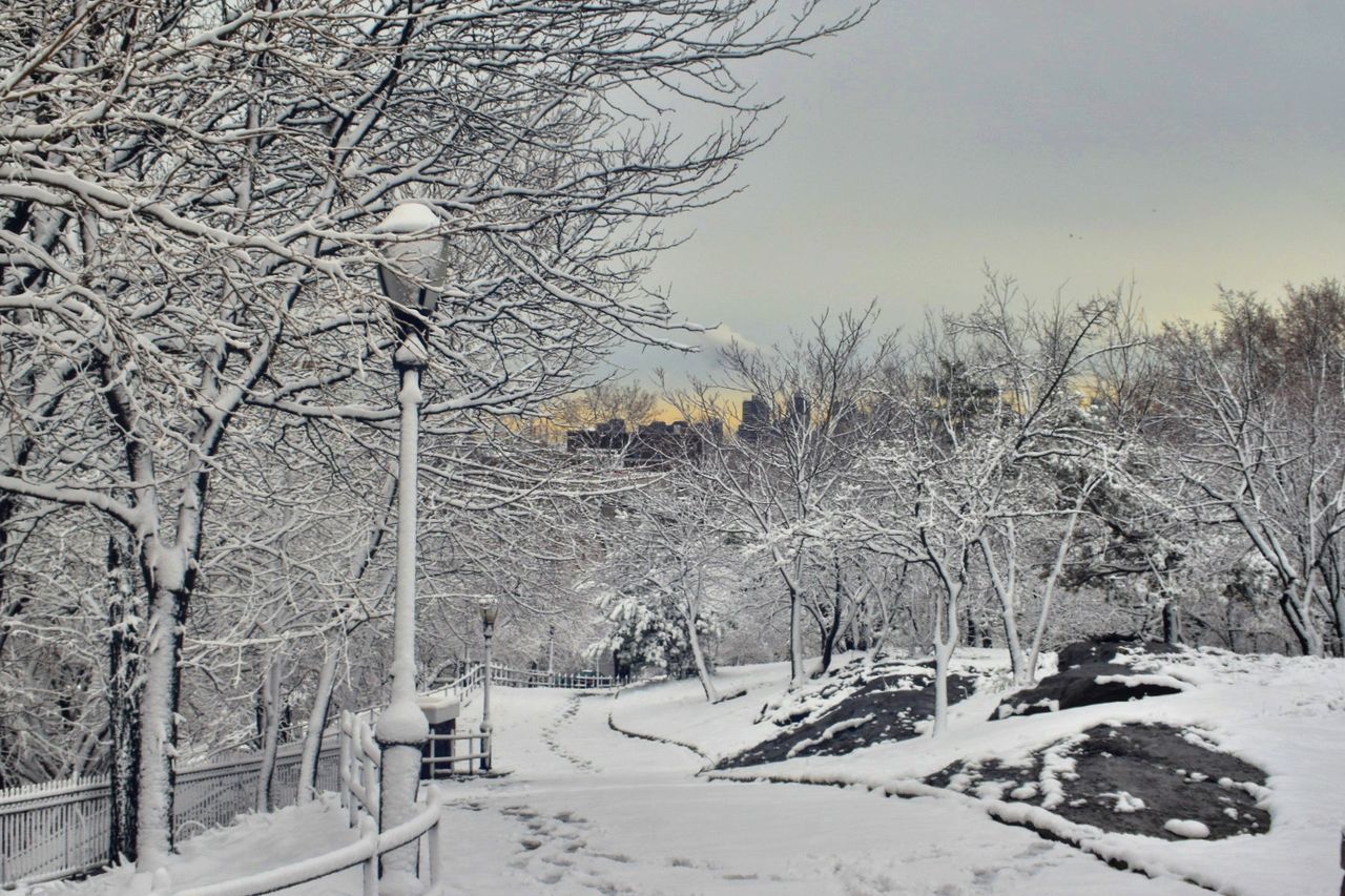 SNOW COVERED ROAD PASSING THROUGH LANDSCAPE