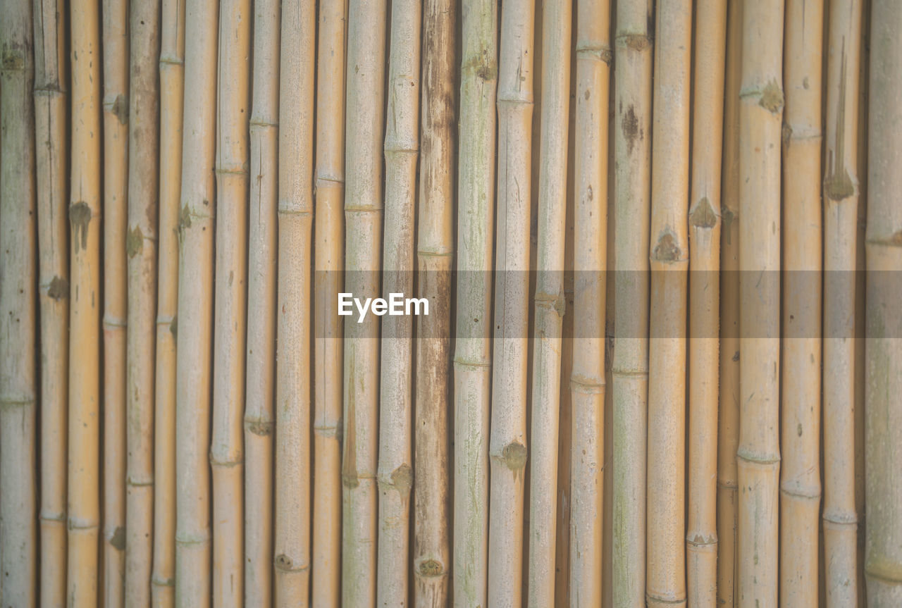 full frame shot of bamboo fence