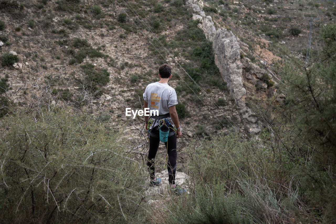 Rear view of man standing on cliff in forest