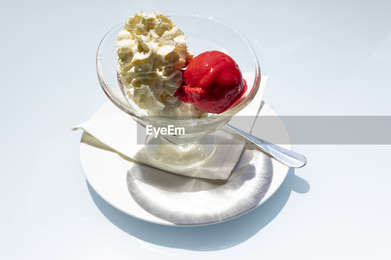 High angle view of ice cream in plate on white background