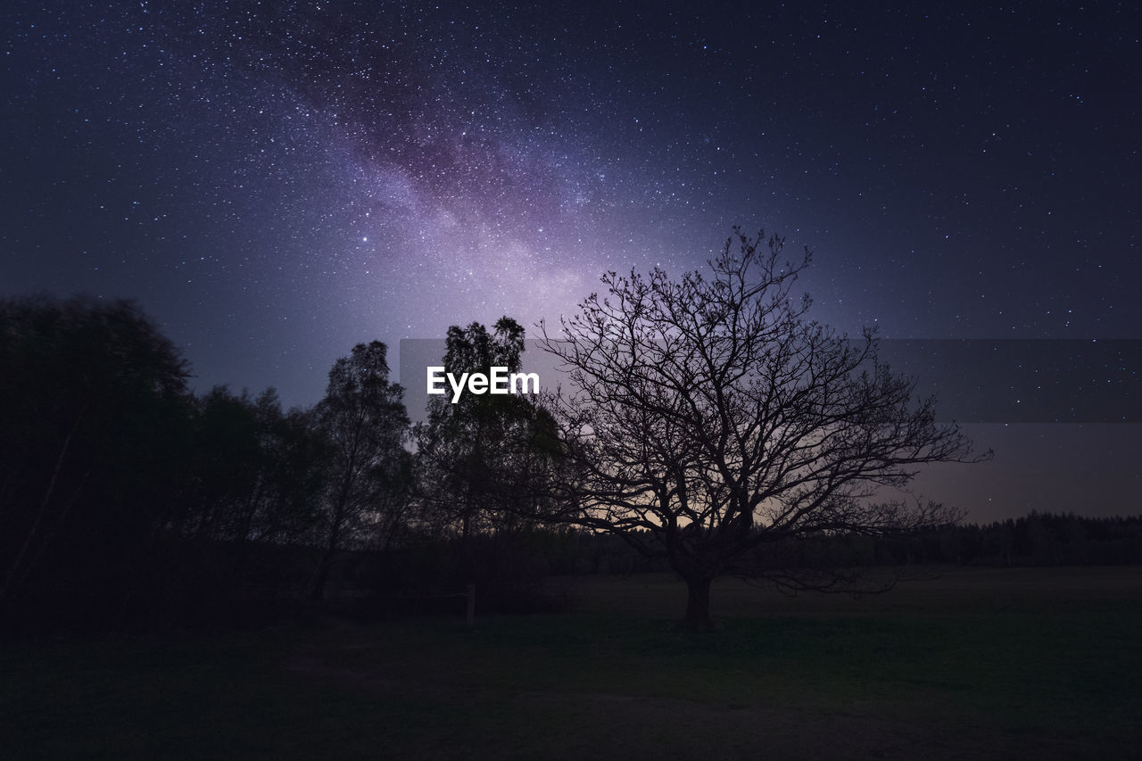 Silhouette of trees on field against night sky and the milky way, galactic core