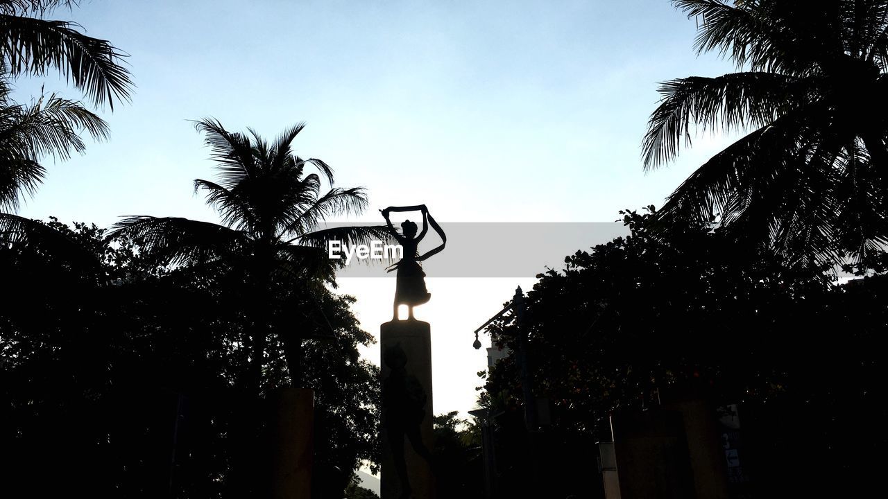 LOW ANGLE VIEW OF TREES AGAINST SKY