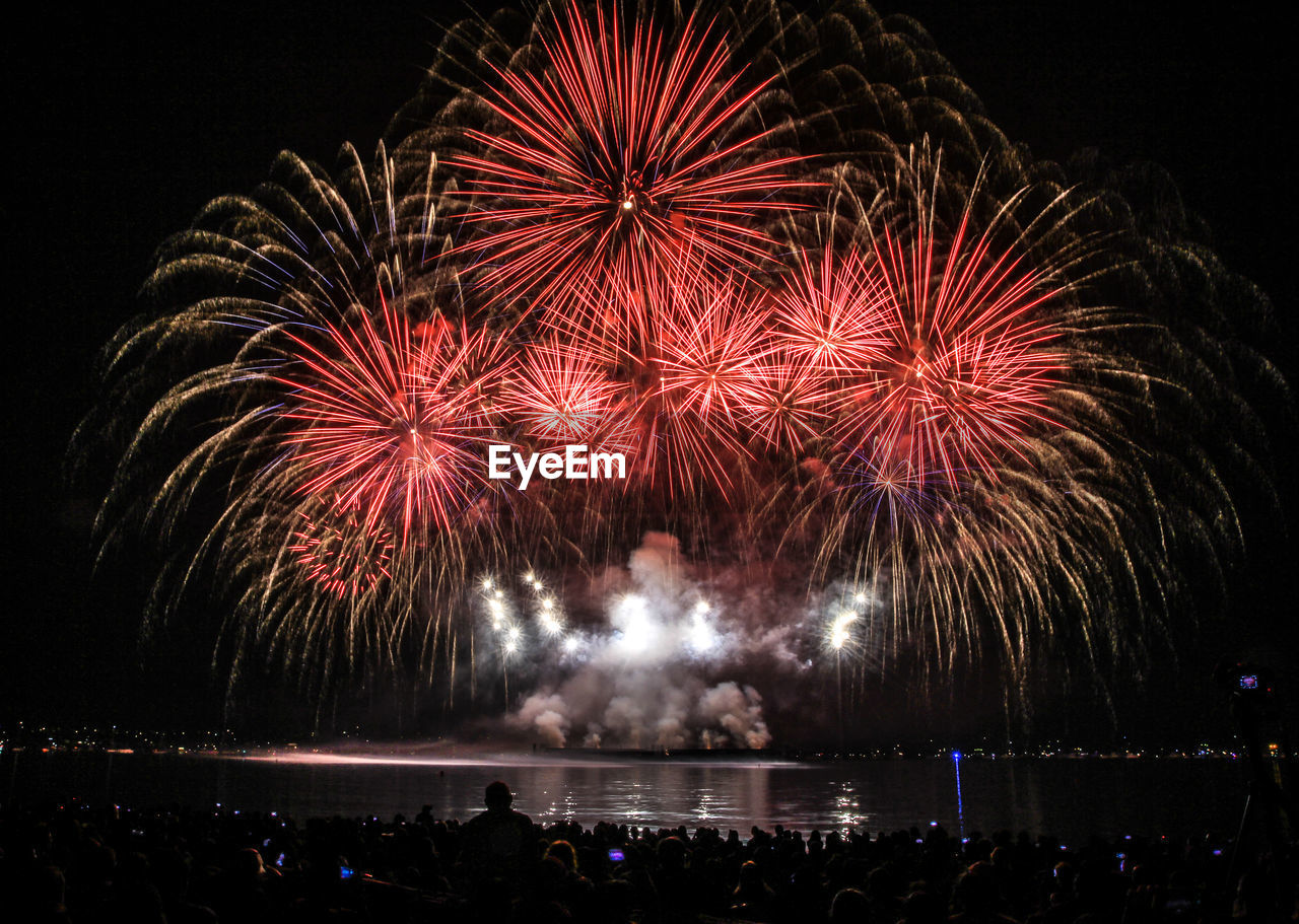 People watching firework display against sky at night