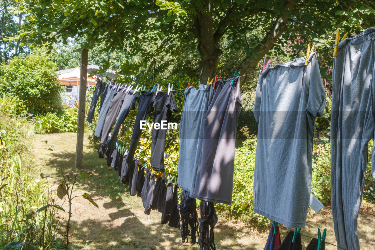 ROW OF CLOTHES DRYING ON ROPE