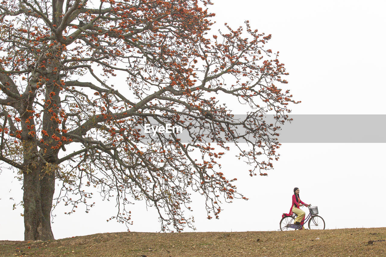 tree, plant, nature, bicycle, sky, one person, landscape, adult, transportation, land, flower, riding, leisure activity, men, environment, activity, lifestyles, beauty in nature, cycling, day, outdoors, full length, rural scene, branch, sports, travel, scenics - nature, copy space, tranquility, women, mode of transportation, holiday, clear sky