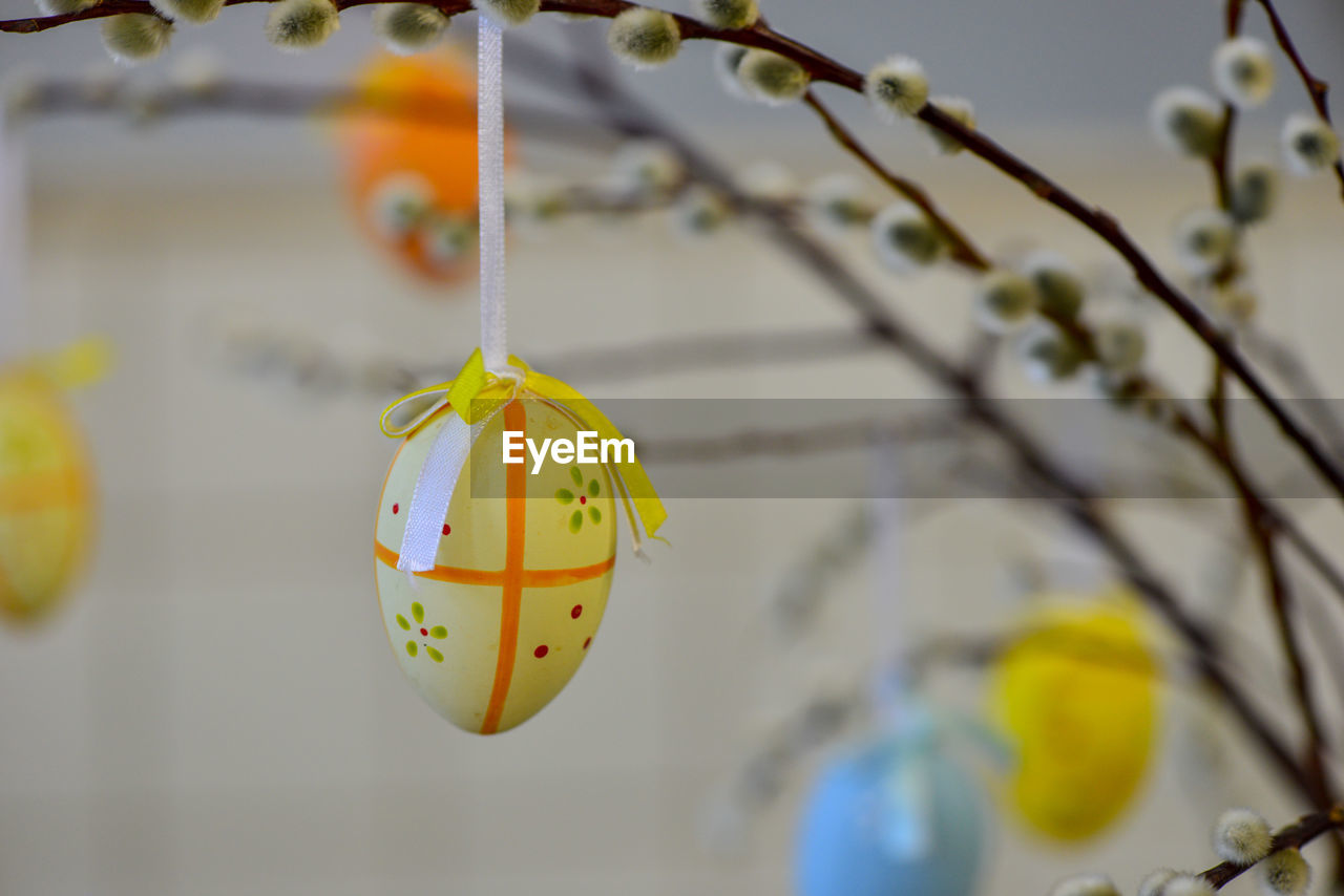 CLOSE-UP OF YELLOW FRUIT HANGING ON FLOWER