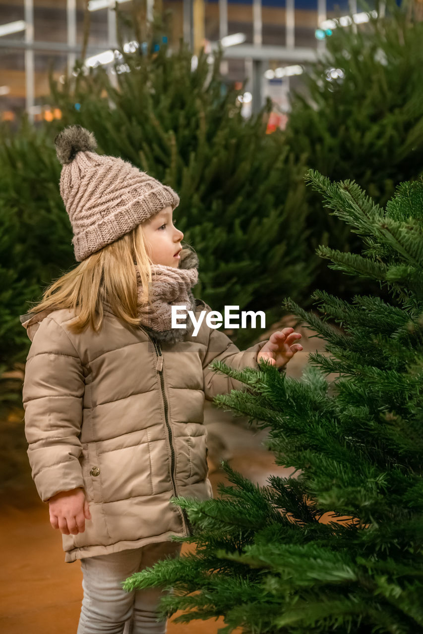 Small girl chooses a christmas tree in the market.