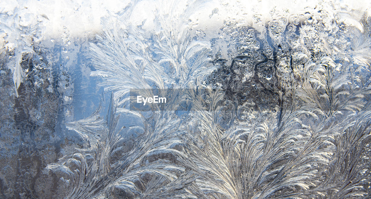 Frost pattern on a window glass in the winter 