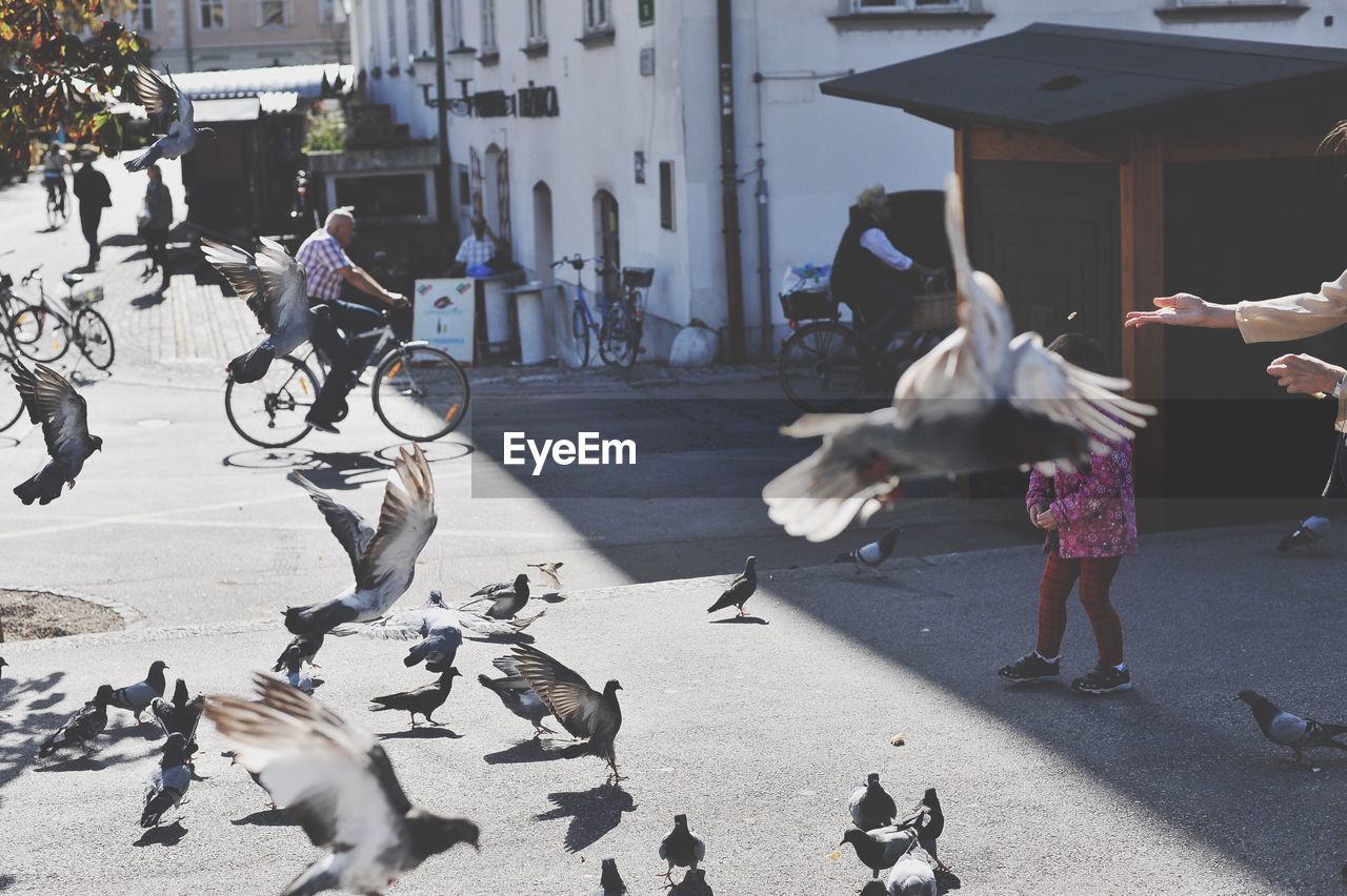 Cropped image of person feeding pigeons in city