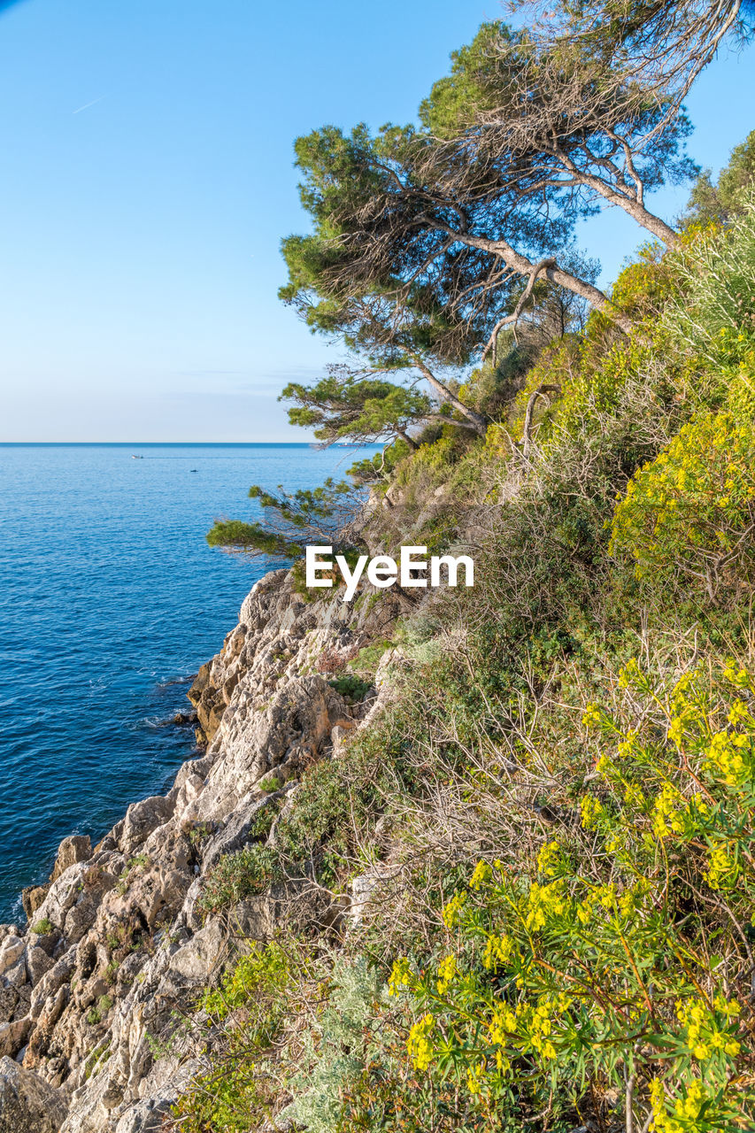 Scenic view of sea against clear sky