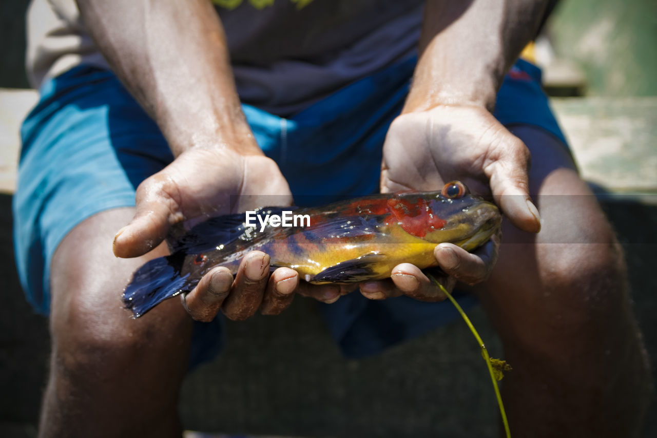 Close-up of cropped hand holding fish