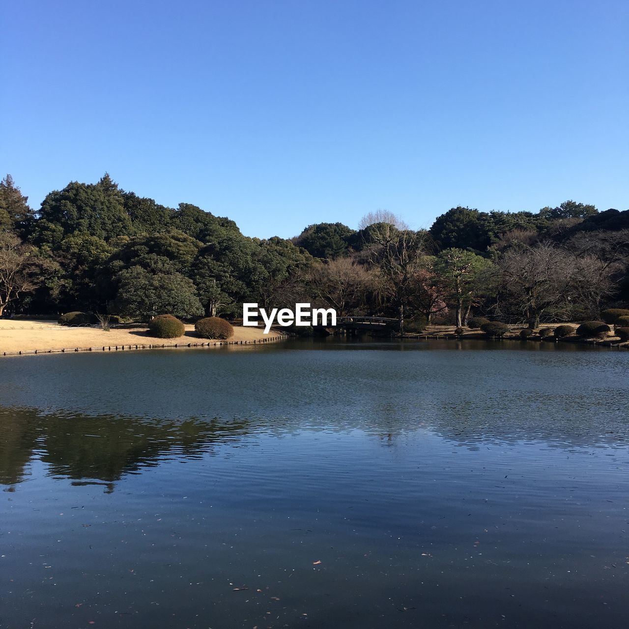 SCENIC VIEW OF LAKE AGAINST CLEAR SKY