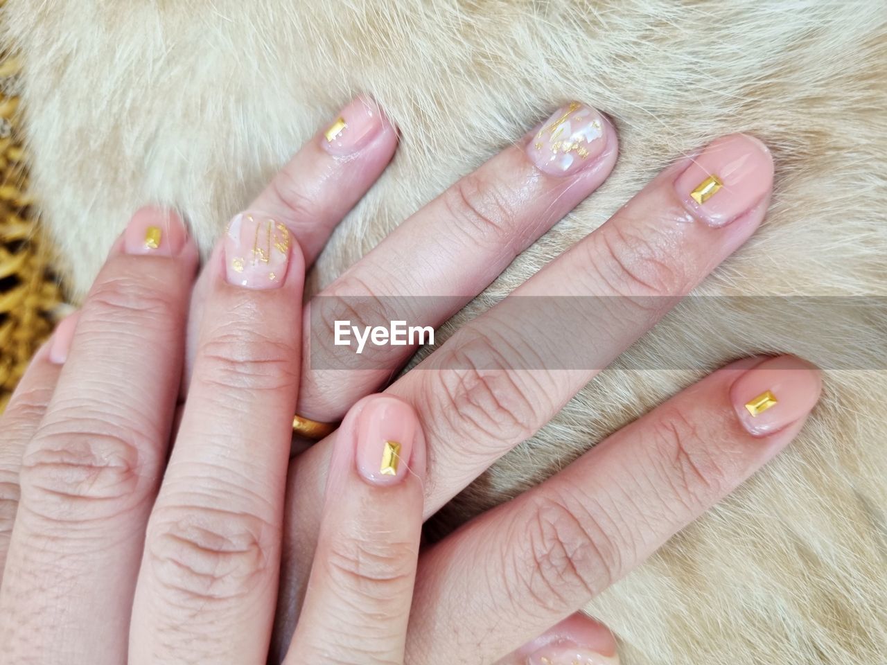 hand, nail, nail polish, finger, adult, fingernail, women, close-up, manicure, jewelry, nail care, beauty treatment, fashion, animal, ring, nail art, skin, pink, indoors, one person, animal themes, lifestyles, cosmetics