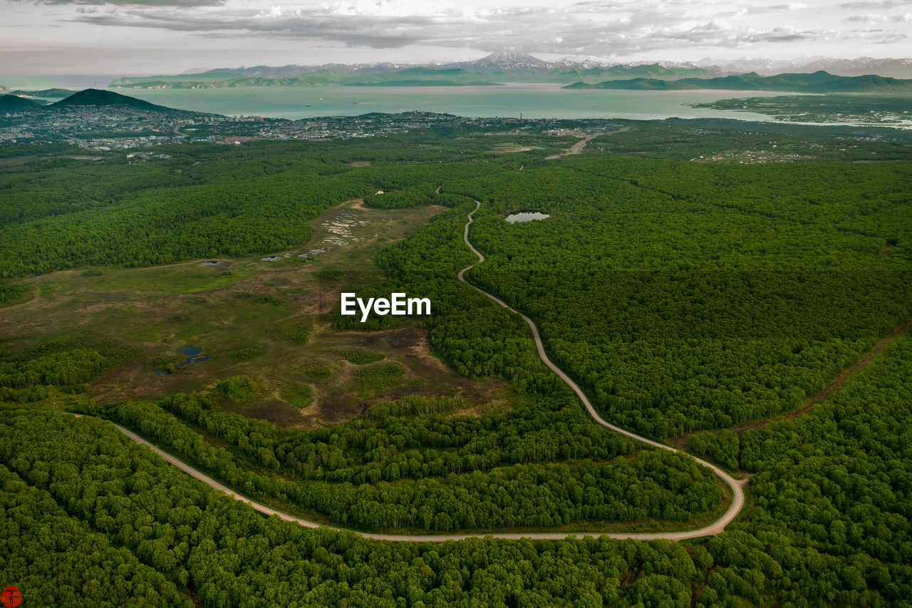 Forest lake. kamchatka peninsula.