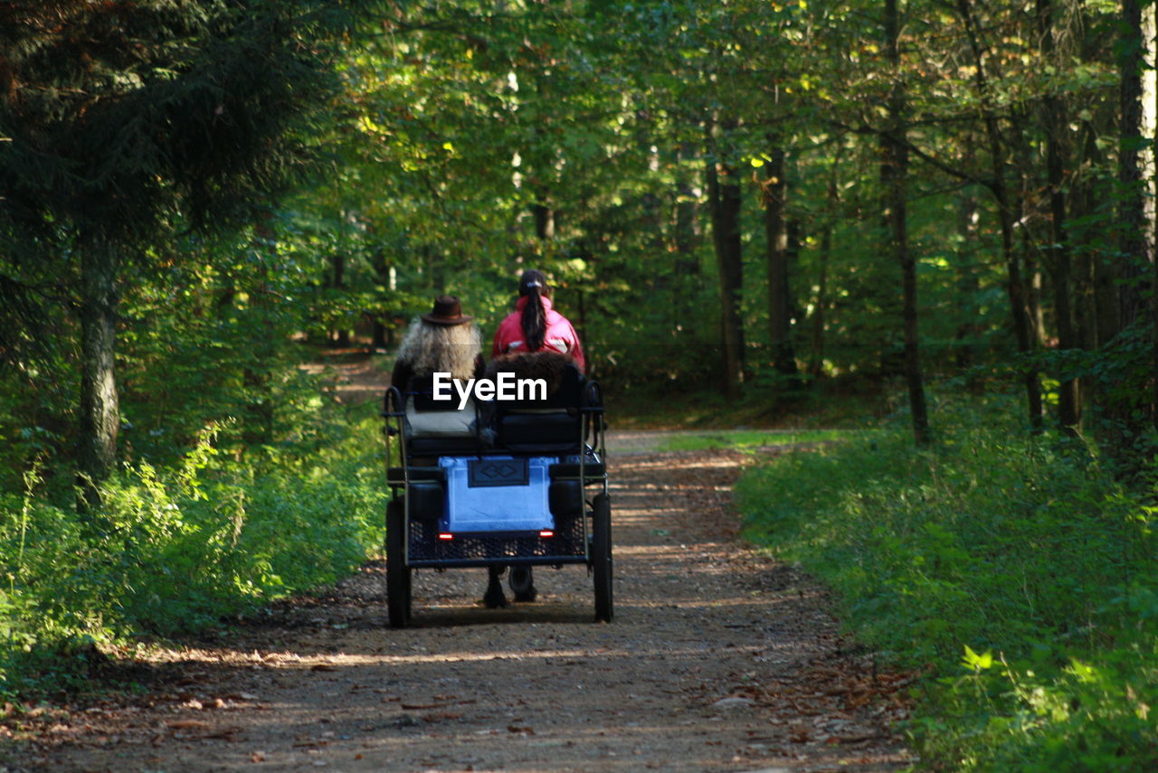 Rear view of women sitting horse carriage in forest
