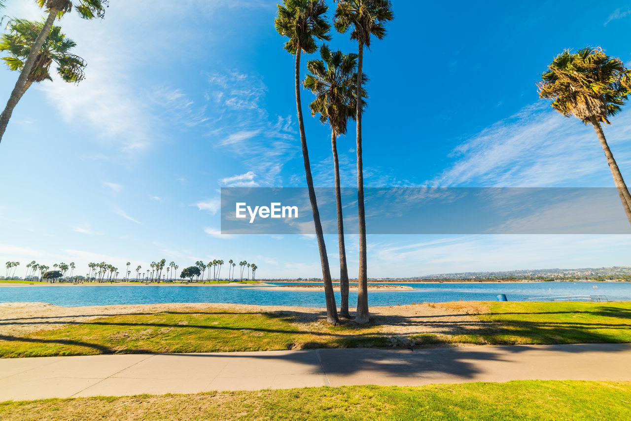 SCENIC VIEW OF PALM TREES BY SEA AGAINST SKY