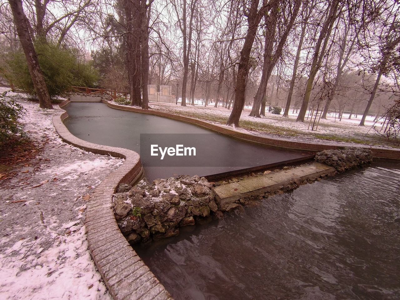 VIEW OF STREAM FLOWING THROUGH FOREST