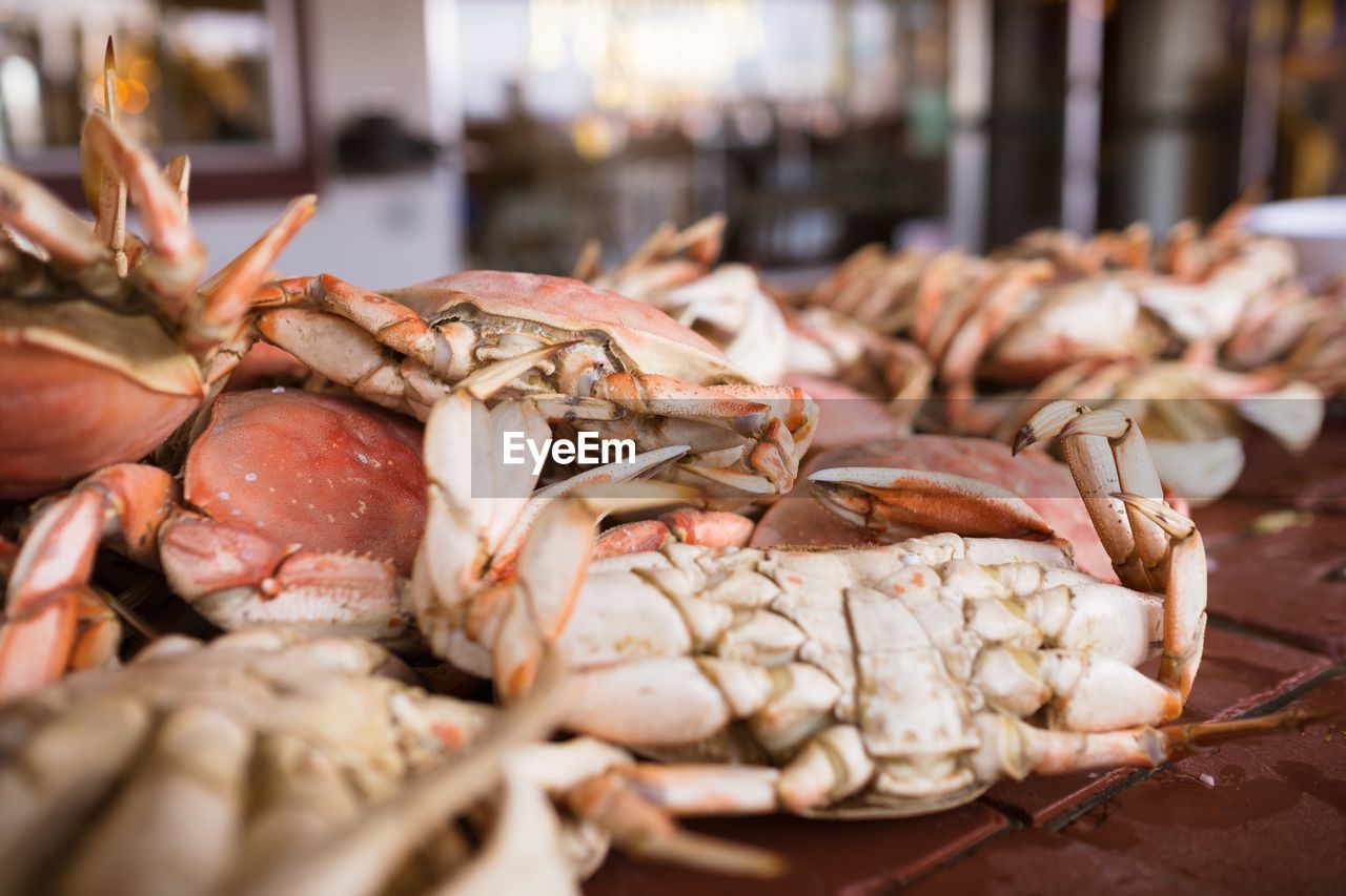 Close-up of crabs at market for sale