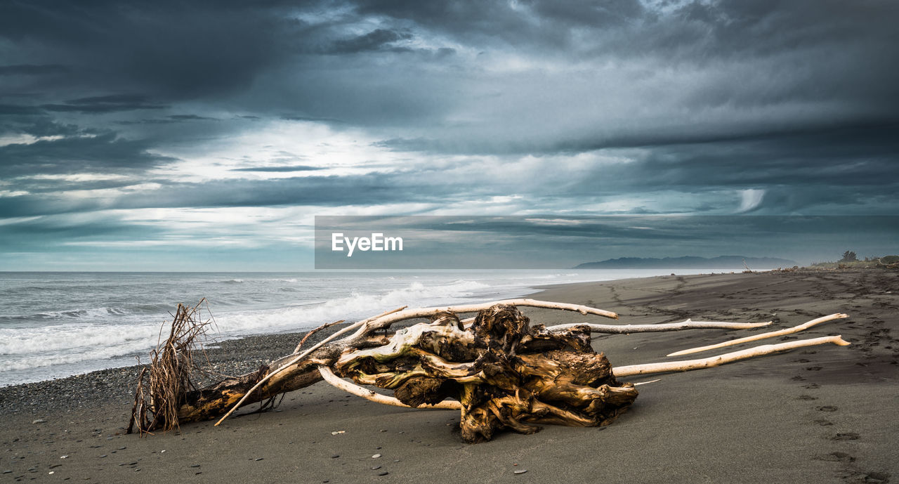 Driftwood on beach against sky