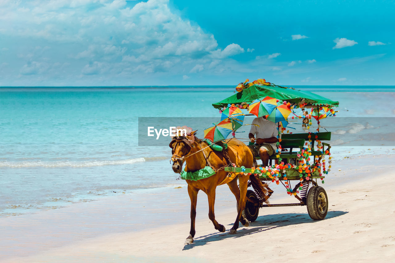 Horse cart on beach against sky