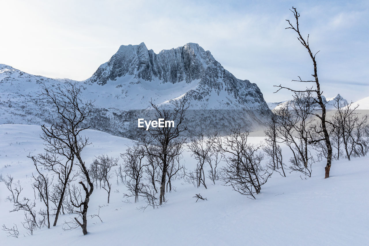 Scenic view of snow covered mountains against sky