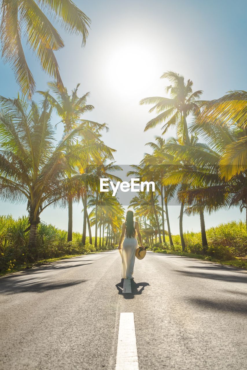 Rear view of woman walking on road amidst palm trees