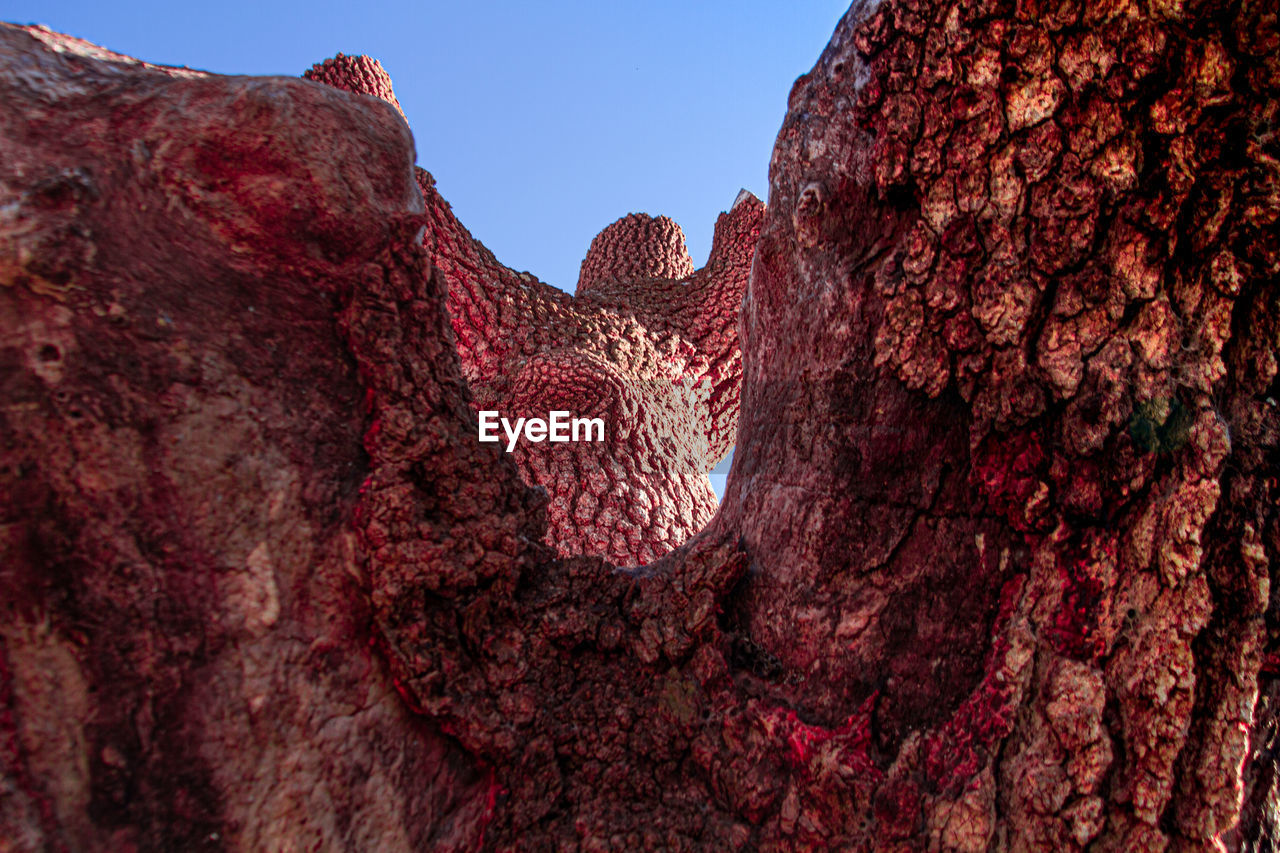 LOW ANGLE VIEW OF ROCK FORMATIONS