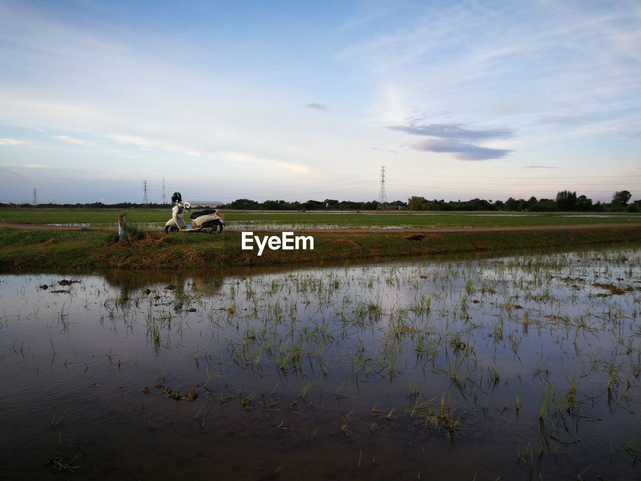 SCENIC VIEW OF A FIELD