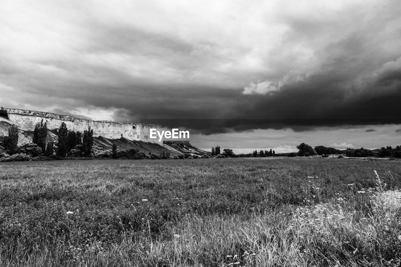 FIELD AGAINST SKY