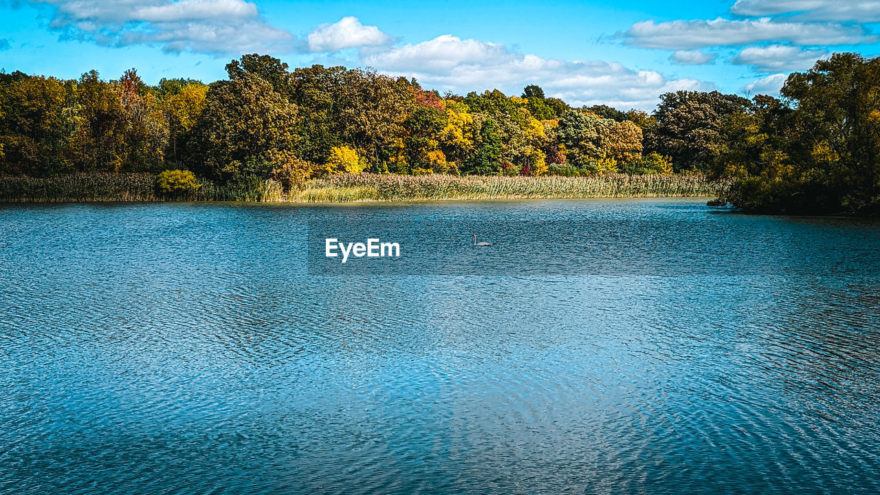 water, reflection, tree, nature, plant, body of water, beauty in nature, scenics - nature, sky, tranquility, tranquil scene, blue, no people, lake, land, cloud, reservoir, landscape, environment, shore, forest, day, outdoors, idyllic, pinaceae, travel destinations, non-urban scene, pine tree, coniferous tree, leaf, travel, morning, pine woodland