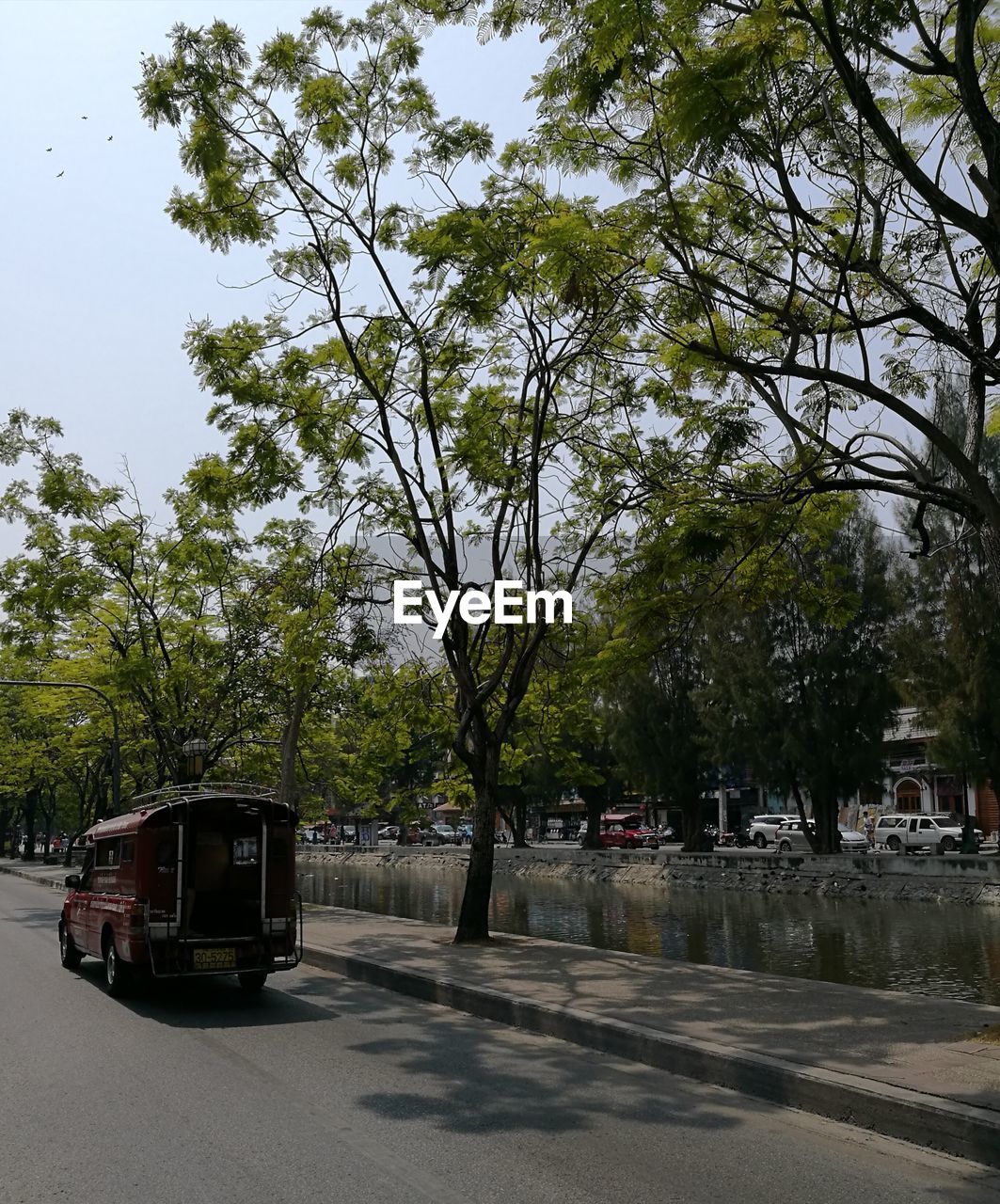 CARS ON ROAD BY TREES IN CITY