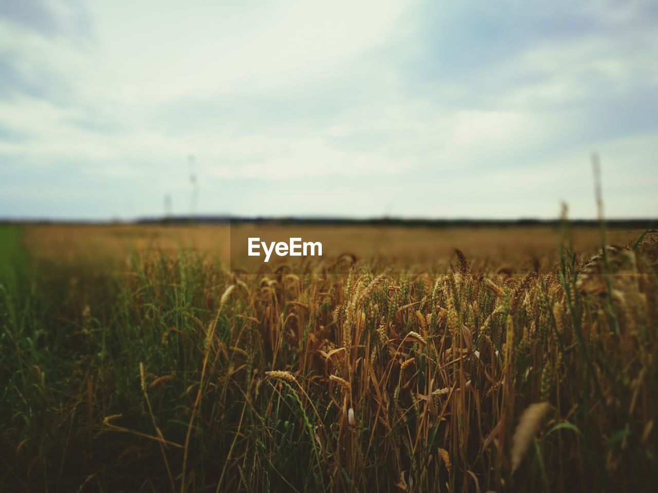 Countryside landscape against the sky